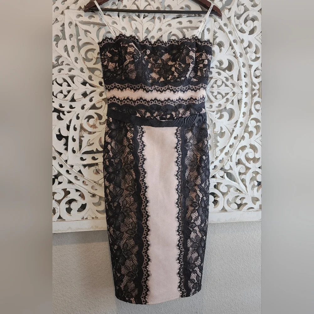 TADASHI SHOJI SHEATH LACE STRAPLE DRESS BLACK & NUDE TONE SIZE 2 - Picture 3 of 13